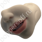 Реалистичный мастурбатор-рот и вагина + анал Monica B.